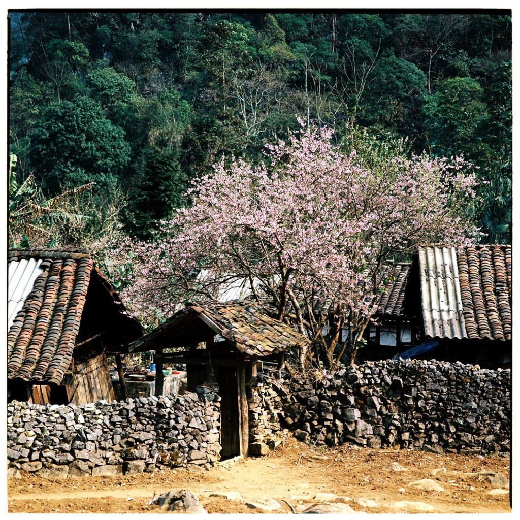Huyen Tram Guesthouse Dong Van  Exterior photo
